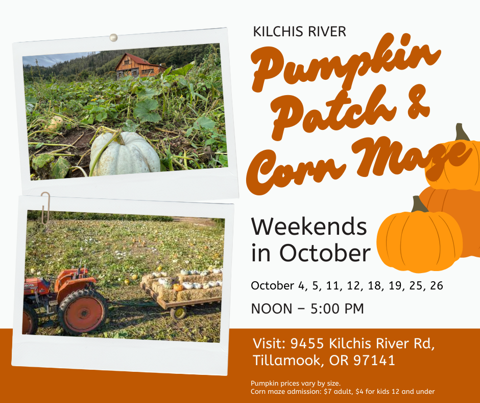 Pumpkin-Patch-Yf5RPT