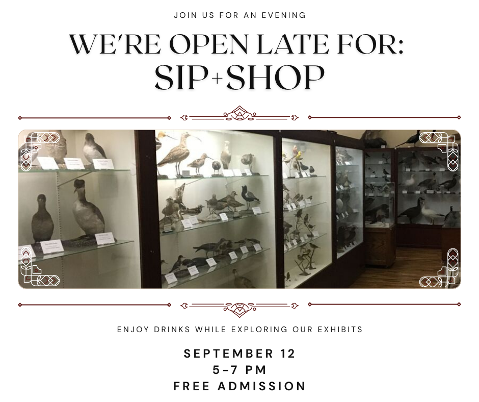 Sip-Shop-Facebook-post-Q5kekF